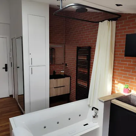 公寓 L Escapade De Stan 南锡